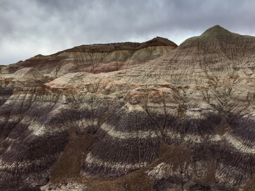 Petrified Forest0006